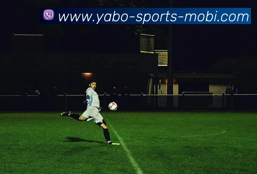 亚博体育平台生态图